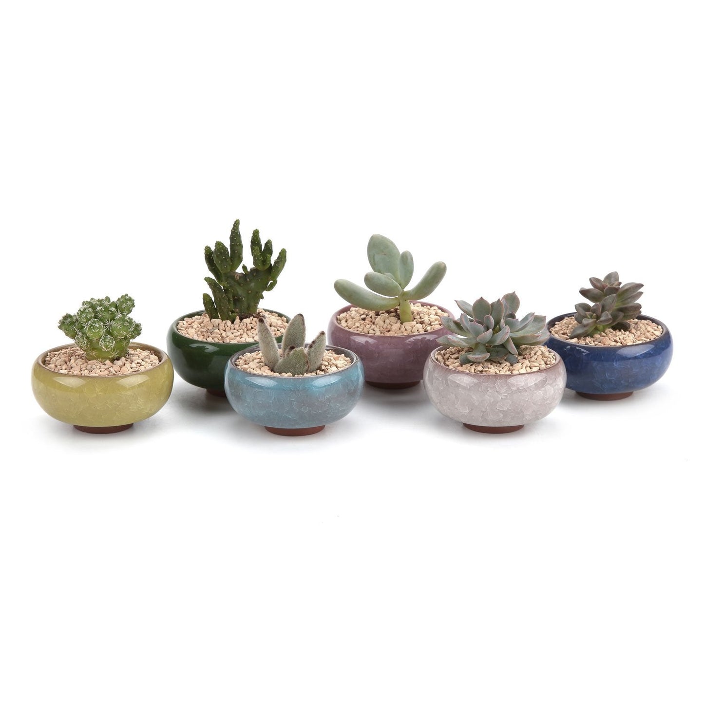 T4U 2.5 Inch Small Ceramic Succulent Planter Pot with Drainage Hole Set of 6, Ice Crack Glaze Plant Container for Cactus, Gardening Plant Gifts for Women Mom Aunt Home Office Decor