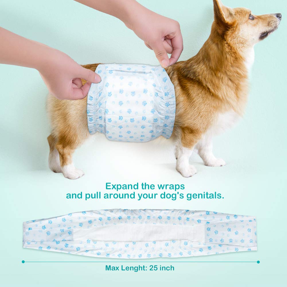 Flying Paws Male Dog Nappies, M-22 Disposable Dog Wraps for Puppy Incontinence Super Absorbent Male Wraps, Soft Cotton, Stereoscopic Edge Fit for Potty Training, Travel