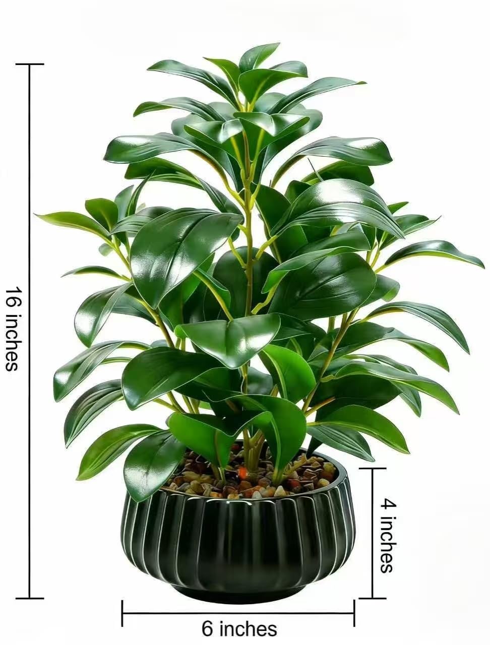 Ewtogift 16" Artificial Peperomia Potted Plant in Black Ribbed Ceramic Planter Realistic Faux Green Leaves Tabletop Branches for Indoor Home Office Living Room Shelf Desk Decor