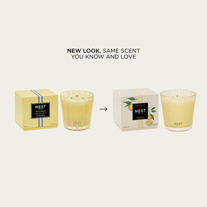 NEST New York Scented 3-Wick Candle, Sunlit Yuzu & Neroli - 21.2 oz - Up to 100-Hour Burn Time - Reusable Glass Vessel