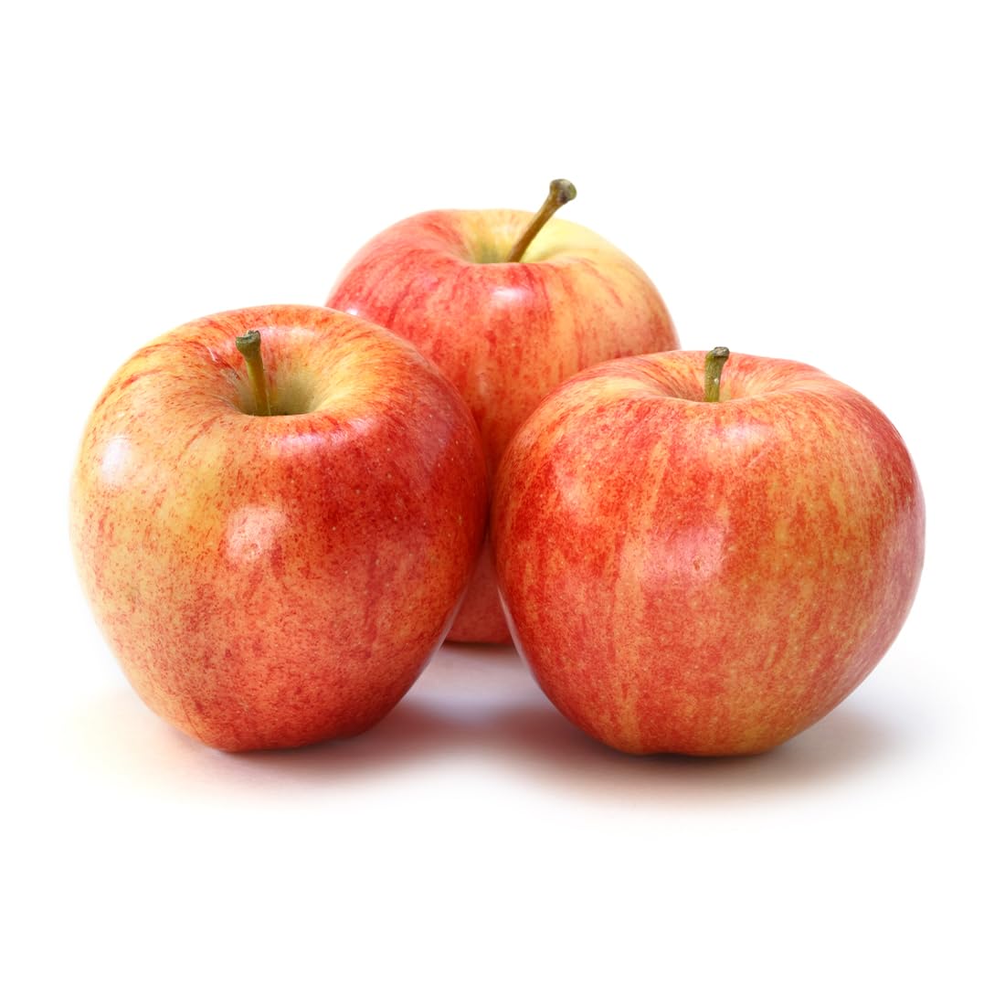 American Plant Exchange Live Gala Apple Tree, Fruit-Bearing Plant Pot for Harvest and Home and Garden Decor, 2-3' Tall, 1-Gallon Pot