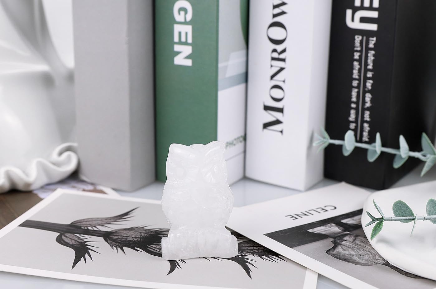 QINJIEJIE 2" Clear Quartz Crystals Owl Decor Stone Figurines Gemstone Sculpture Home Reiki White Owls Statue Cute Room Desk Collectible Gift for Women