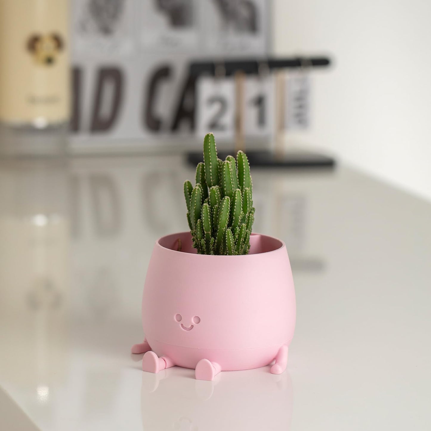 TOPOLA Happy Face Planter, 5.2 Inches Plastic Plant Pot, Self Watering Plant Pot with Drainage Holes for Indoor Outdoor, Succulent Pot, Funny Flower Pot, Sakura