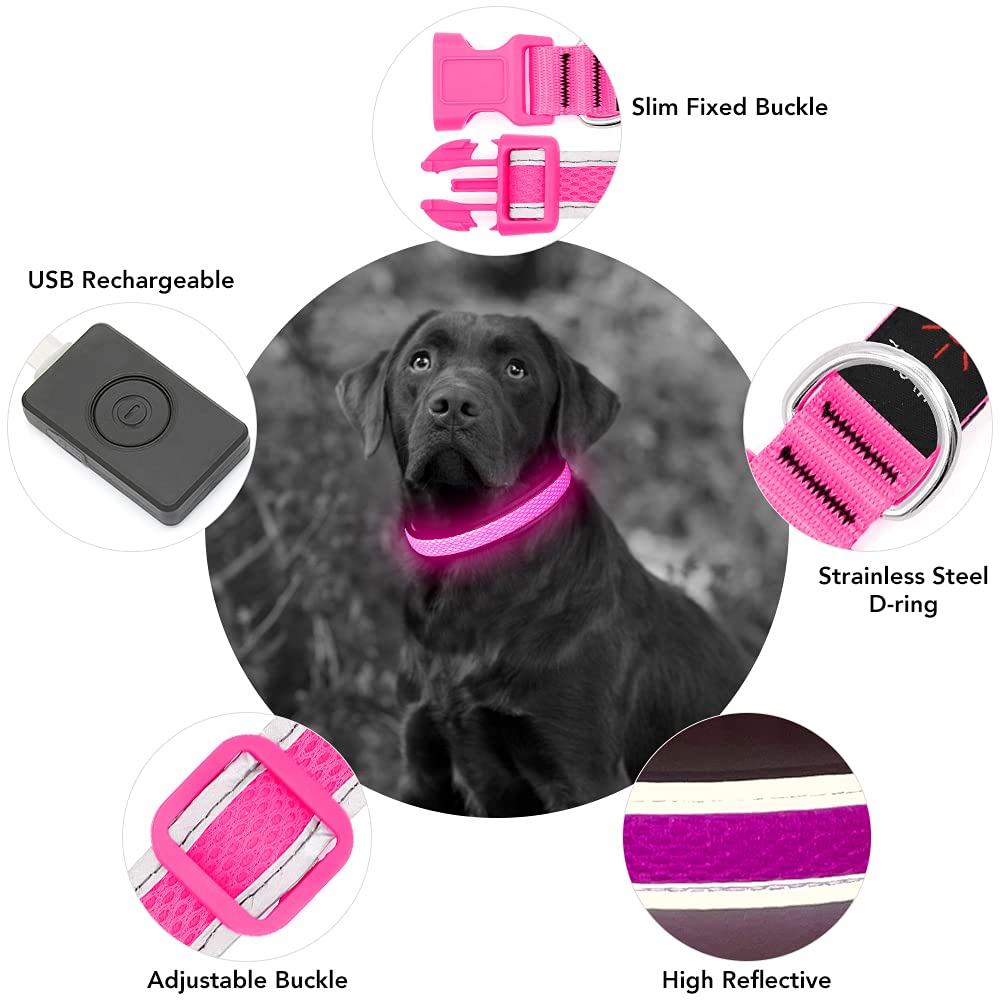 YFbrite Light up Dog Collar, Rechargeable LED Dog Collar, Flashing Dog Collar, Adjustable Reflective Dog Collar Safety Glowing at night (Pink, Medium)