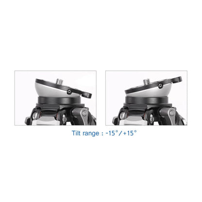 Leofoto LS-284CEXX Travel Tripod w/Built-in Leveling Head, Ranger Series, Carbon Fiber, 4 Leg Sections, Lightweight, Ball Head Optional (Tripod w/ 36mm Ball Head)