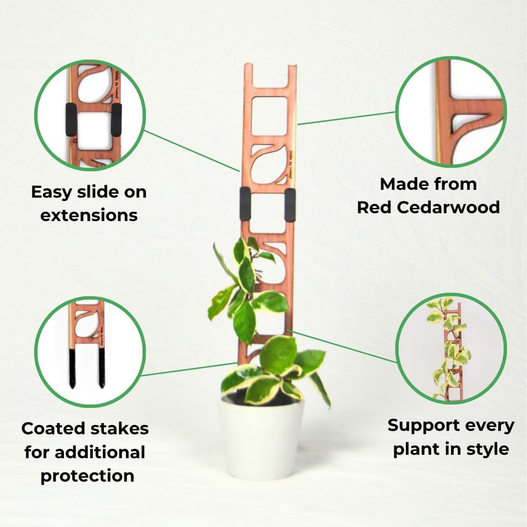 Treleaf Stella Extendable Ladder Trellis - Wooden Plant Trellis for Indoor Climbing Plants, Modular Plant Support Stake with 12” Base + 8” Extension - Perfect for Ivy, Hoya, Houseplants