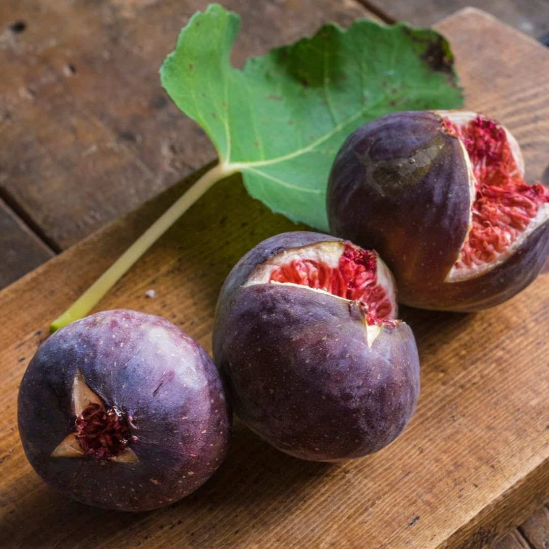 Fig Tree Live Plant, 1 Gallon Pot, Sweet Edible Fruit, Ready to Grow, Suitable for Gardens and Outdoor Planting, No Ship to CA (Black)