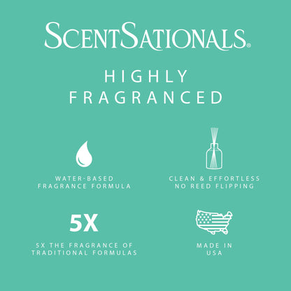 ScentSationals Water-Based Reed Diffuser - White Pine & Eucalyptus - 5 FL OZ Aromatherapy Reed Diffuser