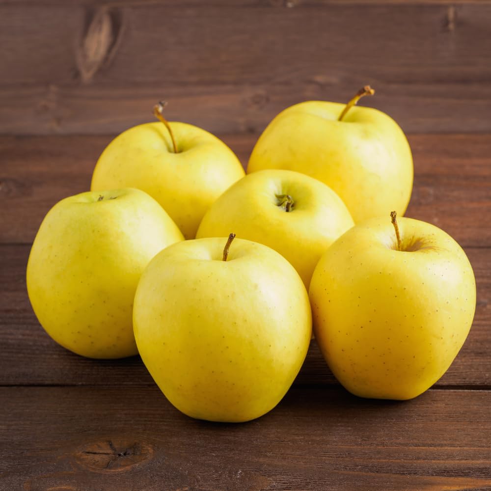 Apple Trees Live Plant, Golden Delicious Apple Tree in 3 Gallon Pot, Sweet Fruit Tree from 2 to 3 Feet Tall, Ready for Outdoor Garden, No Ship to CA