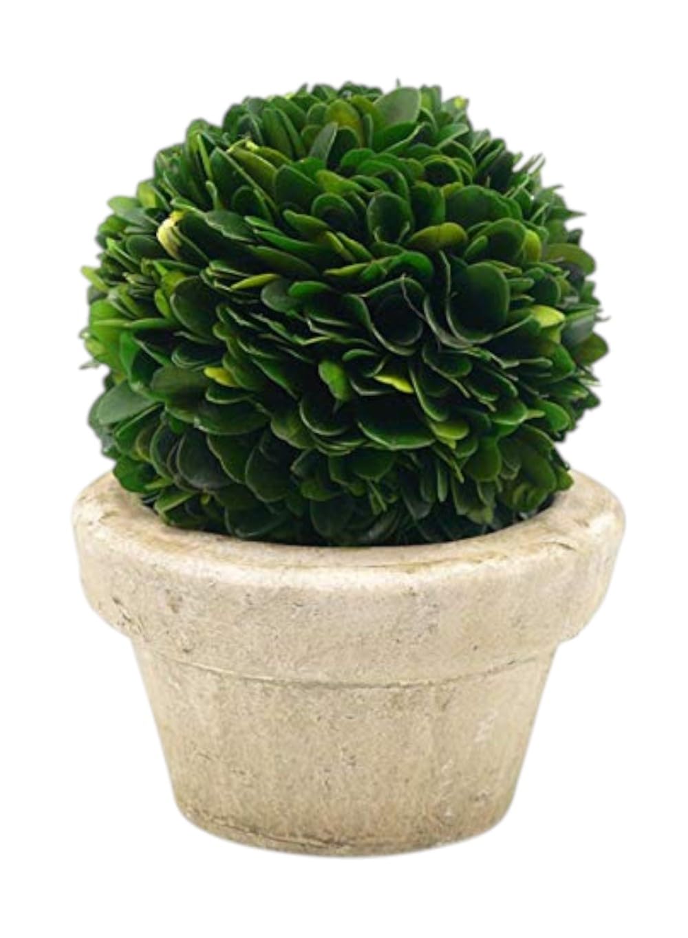 Serene Spaces Living Preserved Boxwood Ball with Small Pot – Boxwood in Planters, Preserved Plant for Boxwood Table Decor, Centerpiece, Measures 5.5" Tall & 4" Diameter, Single