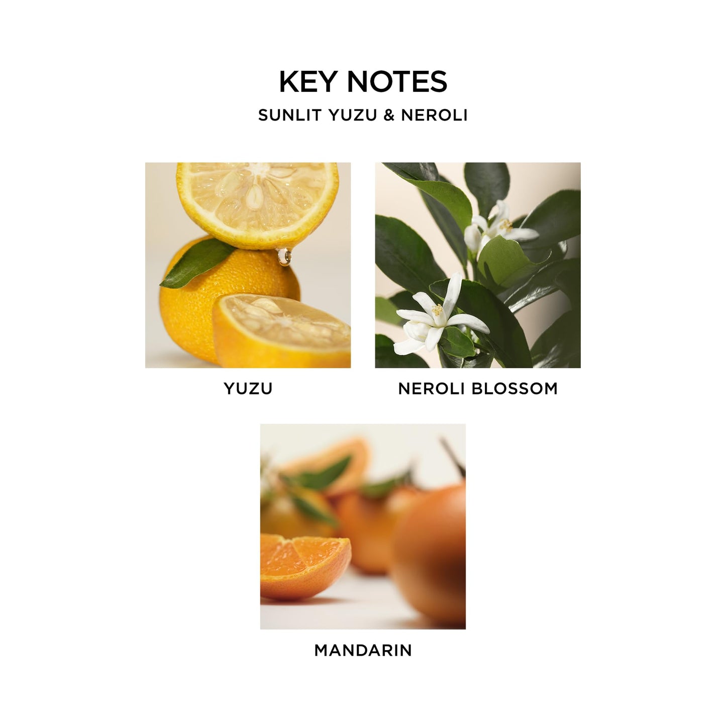 NEST New York Scented 3-Wick Candle, Sunlit Yuzu & Neroli - 21.2 oz - Up to 100-Hour Burn Time - Reusable Glass Vessel