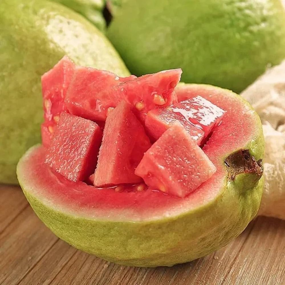 30+ Pink Guava Seeds Tropical Strawberry Guava Tree Seed Easy Fruit Fruit Garden Fresh Grow Plant Psidium guajava
