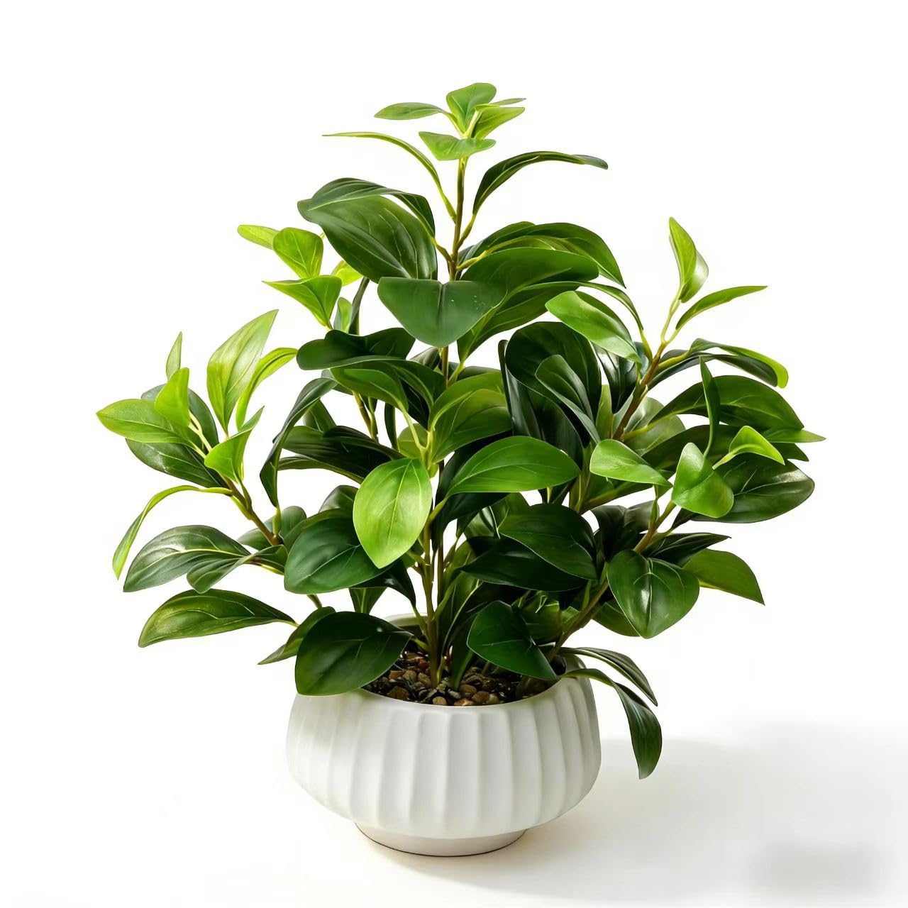 Ewtogift Artificial Peperomia Plant 16.5” Tall Lifelike Faux Greenery in 6” White Ribbed Ceramic Pot Realistic Indoor Fake Branches for Home Office Desk Shelf Bathroom Bedroom Farmhouse Decor
