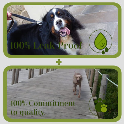 SCOT-PETSHOP Large Green Dog Waste Bags – 500 Poo Bags (Not On A Roll)