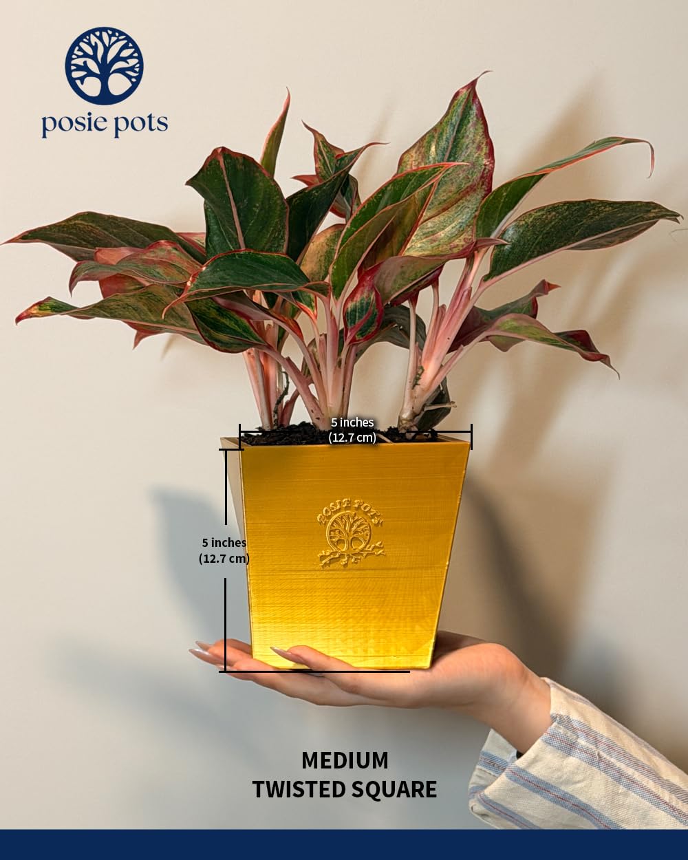 POSIE3DPRINTS Posie Pot Medium Twisted Square - Self Watering Planter 5x5 Inch - Indoor Plant Pot with 30 Day Reservoir - 3D Printed Bioplastic - No Guilt Plant Care - Made in USA, Gold