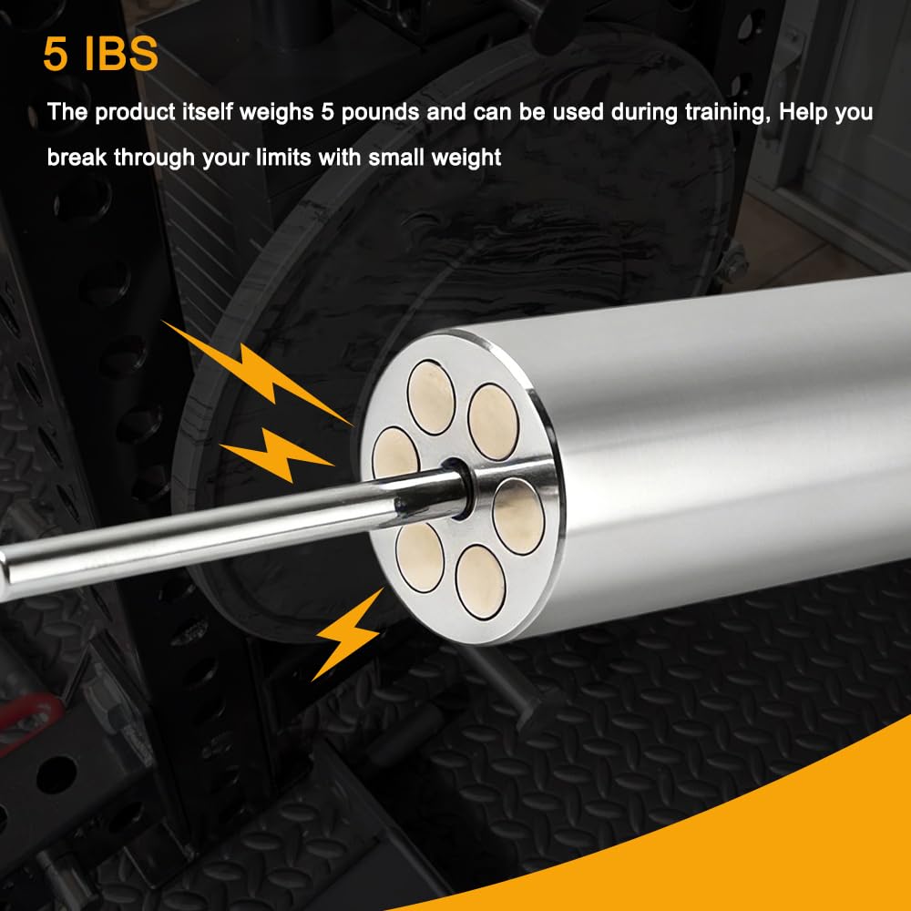 Disjest Weight Stack Pin Extender for Gym Cable Machine, 3/8" (10mm) Extension Pin, Allows Additional Olympic Weight Plates, Made of Durable Steel, Replacement Gym Equipment Accessory,Ø 10 mm × 6"