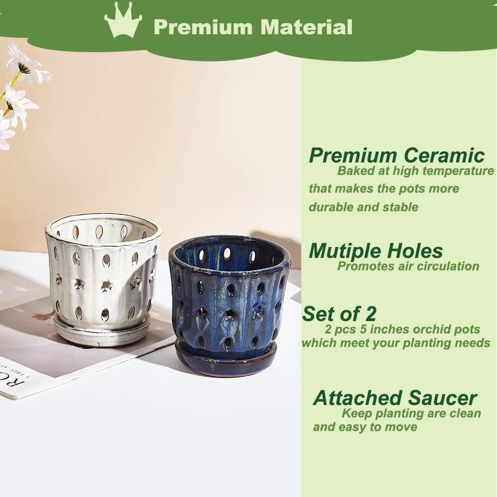 NiSevenLiving Orchid Pots with Holes Attached Saucers 5 Inches - 2 Pcs Small Ceramic Pots for Repotting, Decorative Ceramic Orchid Planter with Hole for Healthy Root Growth (White and Blue)