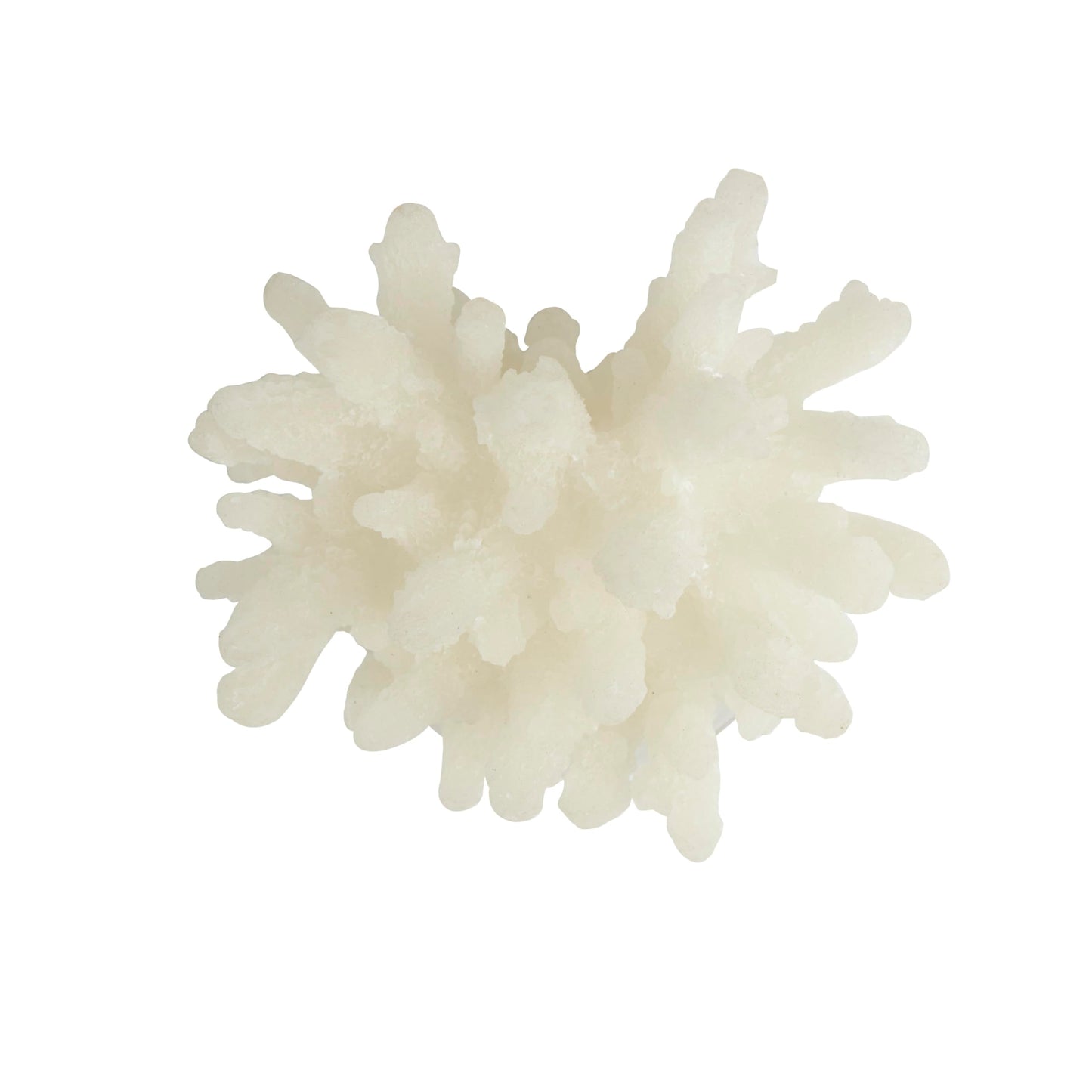 Deco 79 Polystone Coral Decorative Sculpture Small Textured Home Decor Statue with Clear Acrylic Base, Accent Figurine 6" x 5" x 4", White