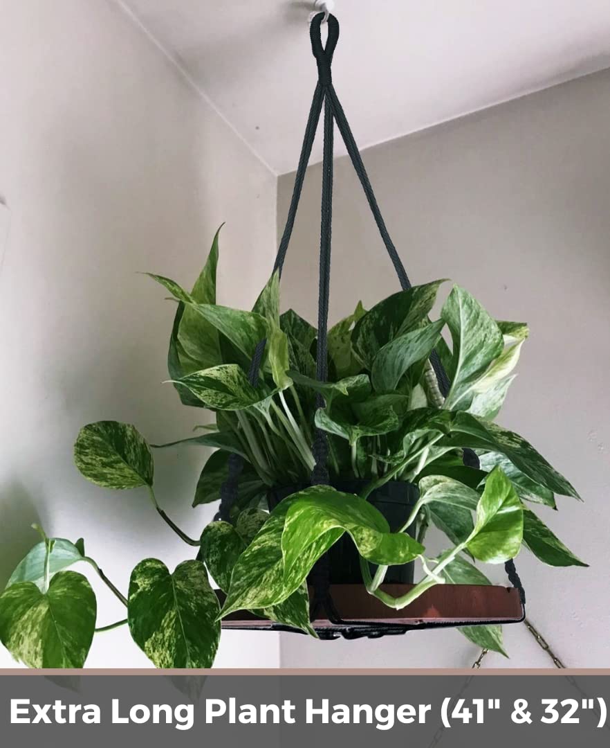 Shineloha 2 Pack Macrame Plant Hanger | Plant Hanger Indoor, Hanging Planter Shelf | Hanging Planter (Black) (1 Large + 1 Medium)