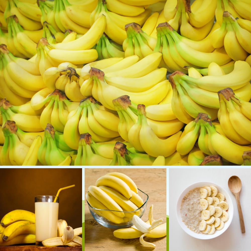 Banana Tree Live Plant, Banana Plant Live, Cold Hardy, Well-Rooted, Sweet Fruit, 4-6 Inches Tall for Outdoor Planting (Grand Nain Banana)