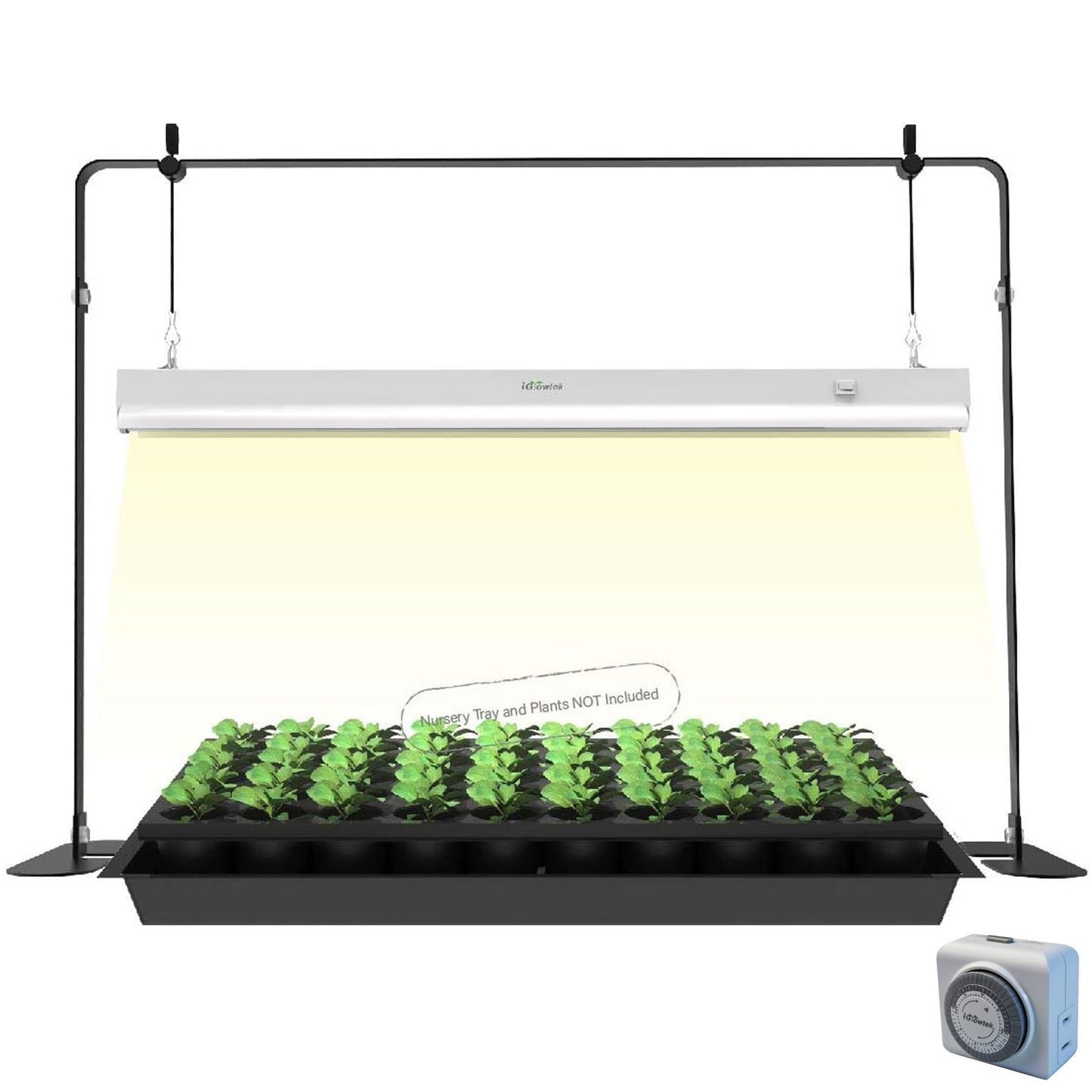iGrowtek 2ft Grow Light for Seed Starting,LED Grow Lamp for Indoor Plants,Seedling Grow Light with Stand,Seed Starter Light Kit with Natural White Spectrum,Height Adjustable,Iron Frame,Timer Outlet