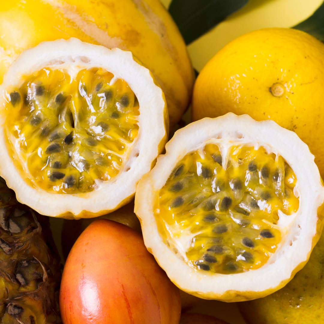 2 Passion Fruit Plant, Passion Fruit Tree, Purple Passion Fruit - Yellow