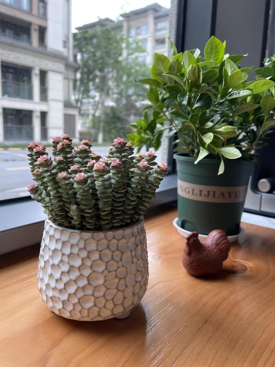 Rustic small 4inch ceramic planter pot for succulent cactus and Indoor Plant, No drainage hole, Short wide mouth small ceramic flower vase for farmhouse,Ceramic Crock ,Countertop Utensil Crock Holder