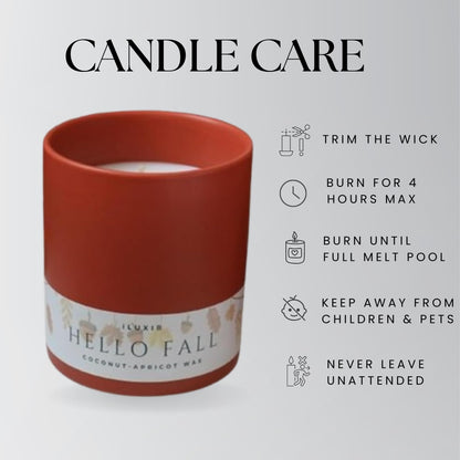 iLUXIR Hello Fall Luxury Candle – Apple Cinnamon, Nutmeg, Clove & Vanilla – Handcrafted Vegan Coconut Wax, Phthalate-Free, Cruelty-Free – Autumn Scented Candle for Home Décor & Gifting (13 oz.)