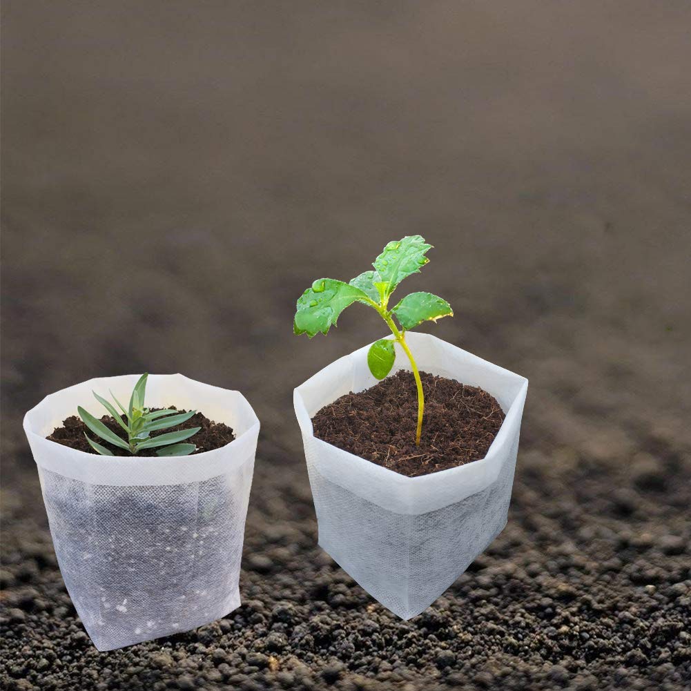 Belit 50 Pcs Non-Woven Plant Nursery Bags, Seedling Pots Container for Vegetable, Flower, Starting saplings, Plant Grow (11.6"x11.2")