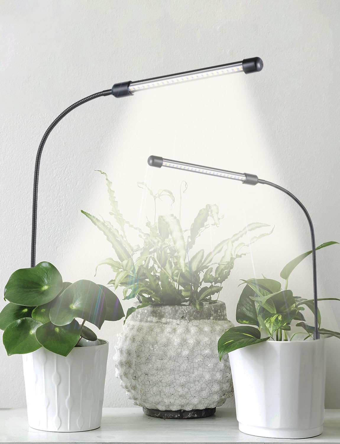 Grow Lights for Indoor Plants Full Spectrum, Plant Lights for Indoor Growing, 48 LEDs Ground Plug Grow Light with Gooseneck, Auto Timer & Dimmable Settings, Ideal for Small and Indoor Plants, 2 Packs