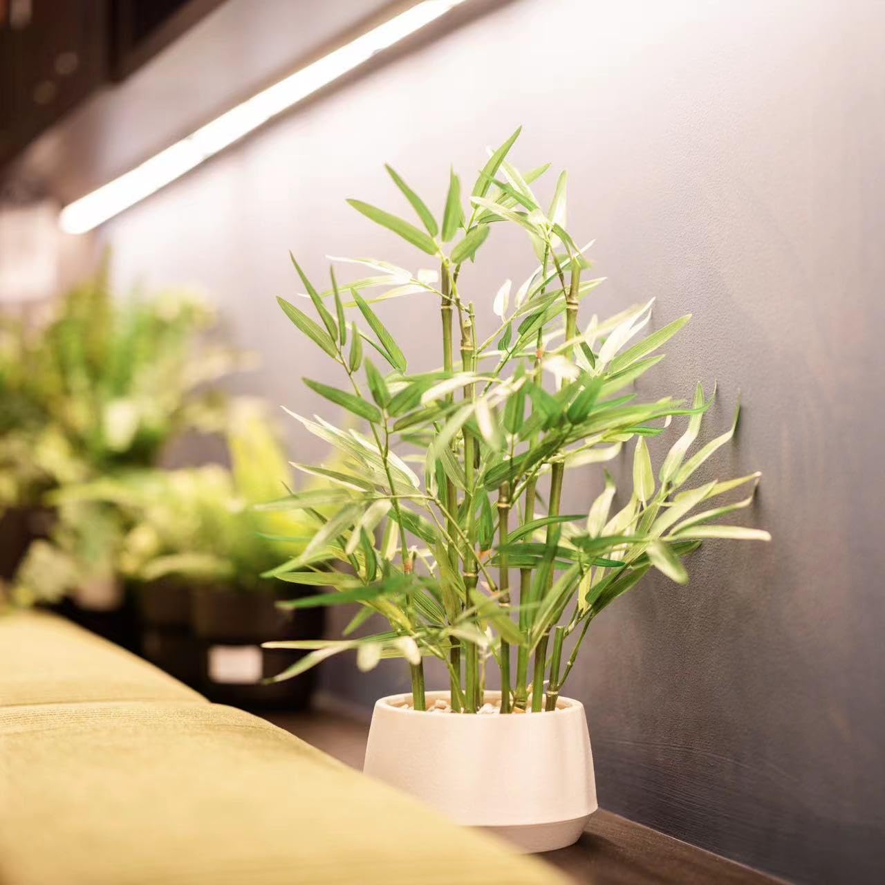 365 Blooming Decor 18 inch Tall White Potted Artificial Bamboo Plant- Luxury Artificial Bamboo Tree in White Pot for Home, Office, Kitchen, Counter Top, Indoor Decor, Money Tree, Lucky Tree.