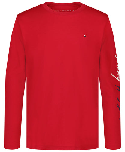 Tommy Hilfiger Boys' Long Sleeve Crew Neck T-Shirt, Script Scarlet Sage, 10-12