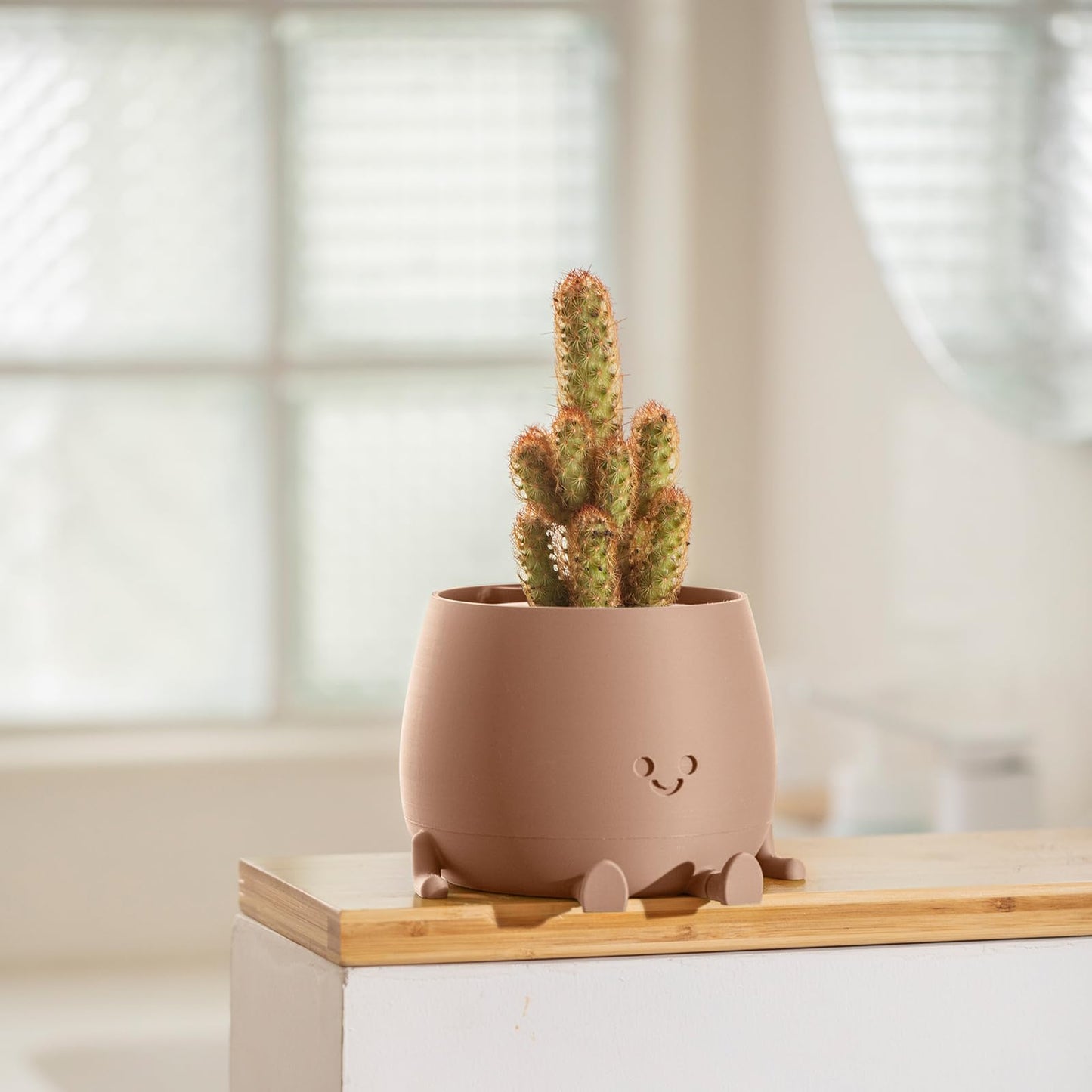 TOPOLA Happy Face Planter, 5.2 Inches Plastic Plant Pot, Self Watering Plant Pot with Drainage Holes for Indoor Outdoor, Succulent Pot, Funny Flower Pot, Khaki