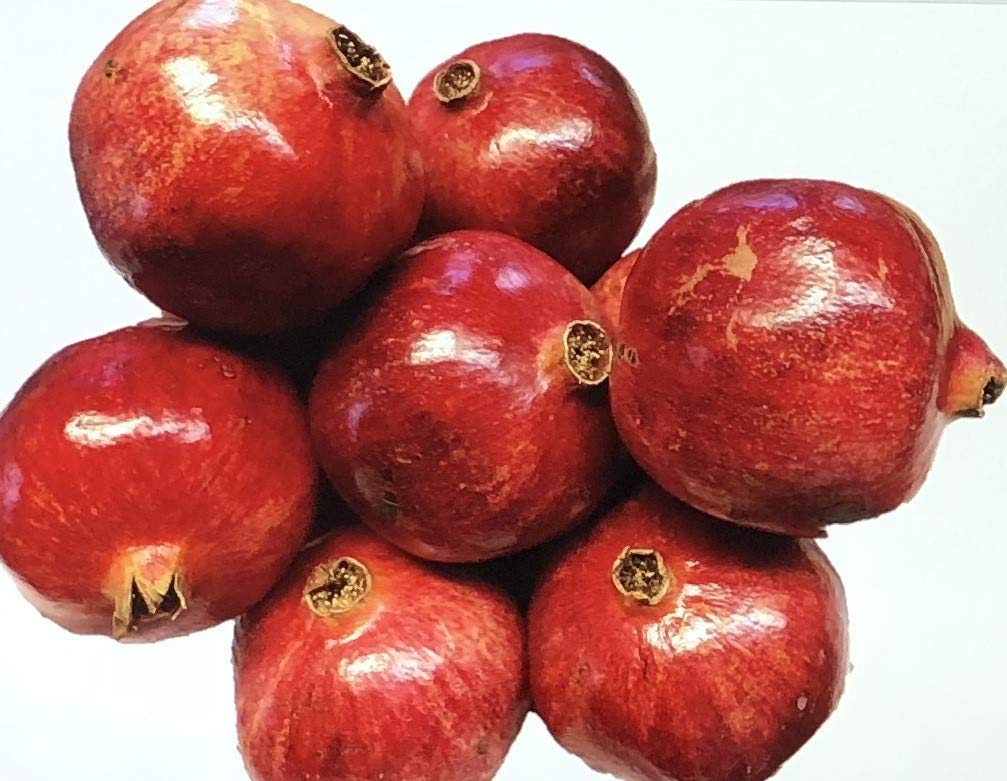 Pomegranate Plant/Tree 'Big Red' (Punica Granatum) Wonderful Live Trees- CA NO Shipping
