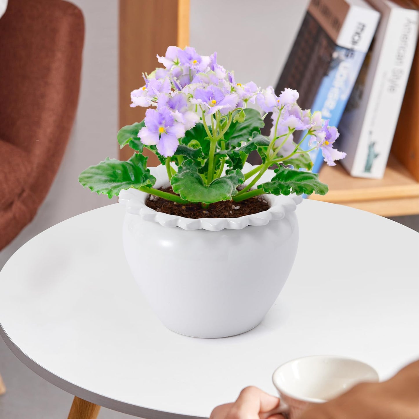 Lovely Ran African Violet Flower Pot Ceramic Self Watering Flower Pot 6.5 * 4.6 * 4 inch Simple Plant Self Watering Pot Indoor Flowers High Absorption Herbaceous Flower Pots Modern Decor Pots