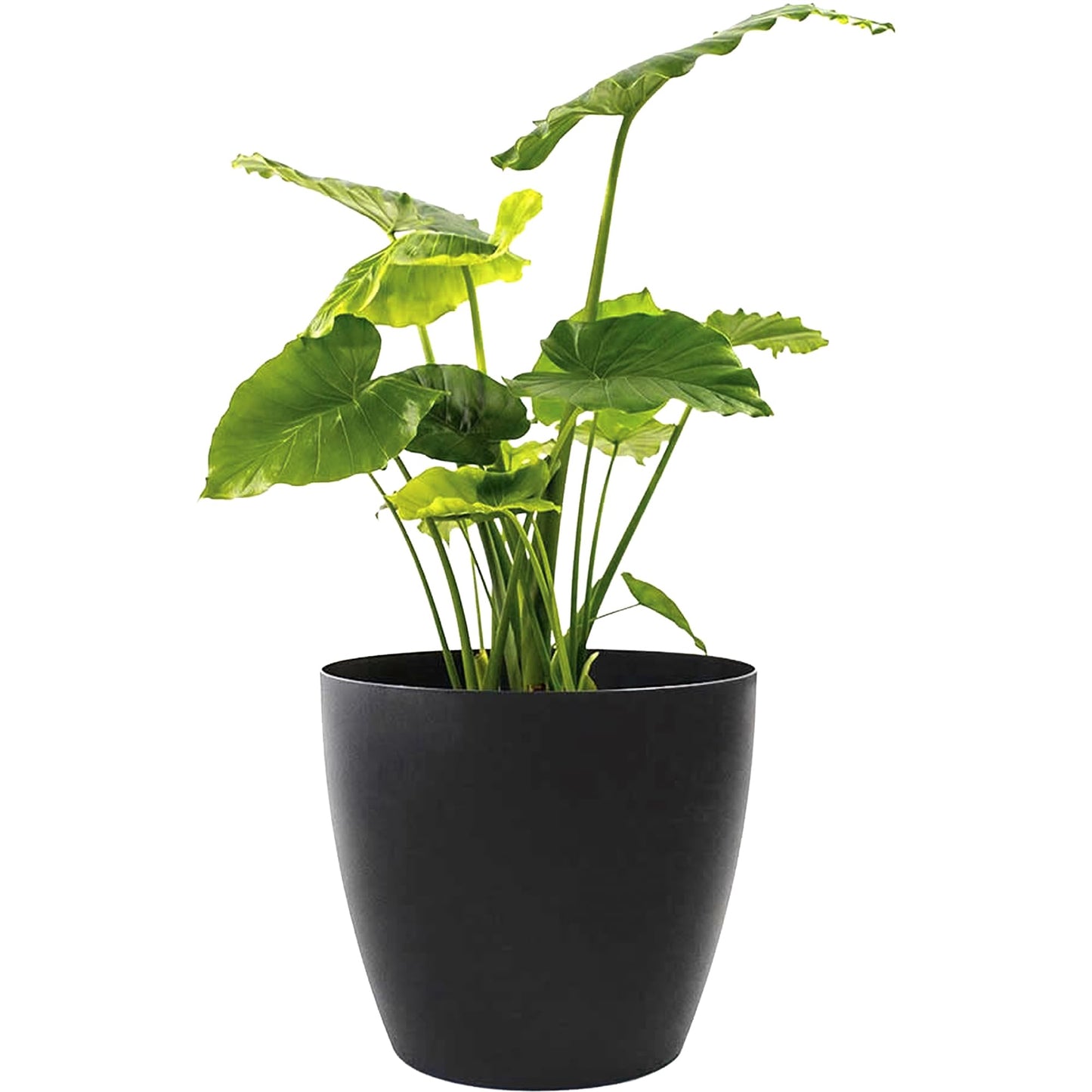 Greenline Manufacturing Memphis 15" Round Indoor Floor Planter Pot – Lightweight & Durable Plastic, Modern Design, Made in USA, Recyclable Large Plant Container for Home & Office Décor (Black)