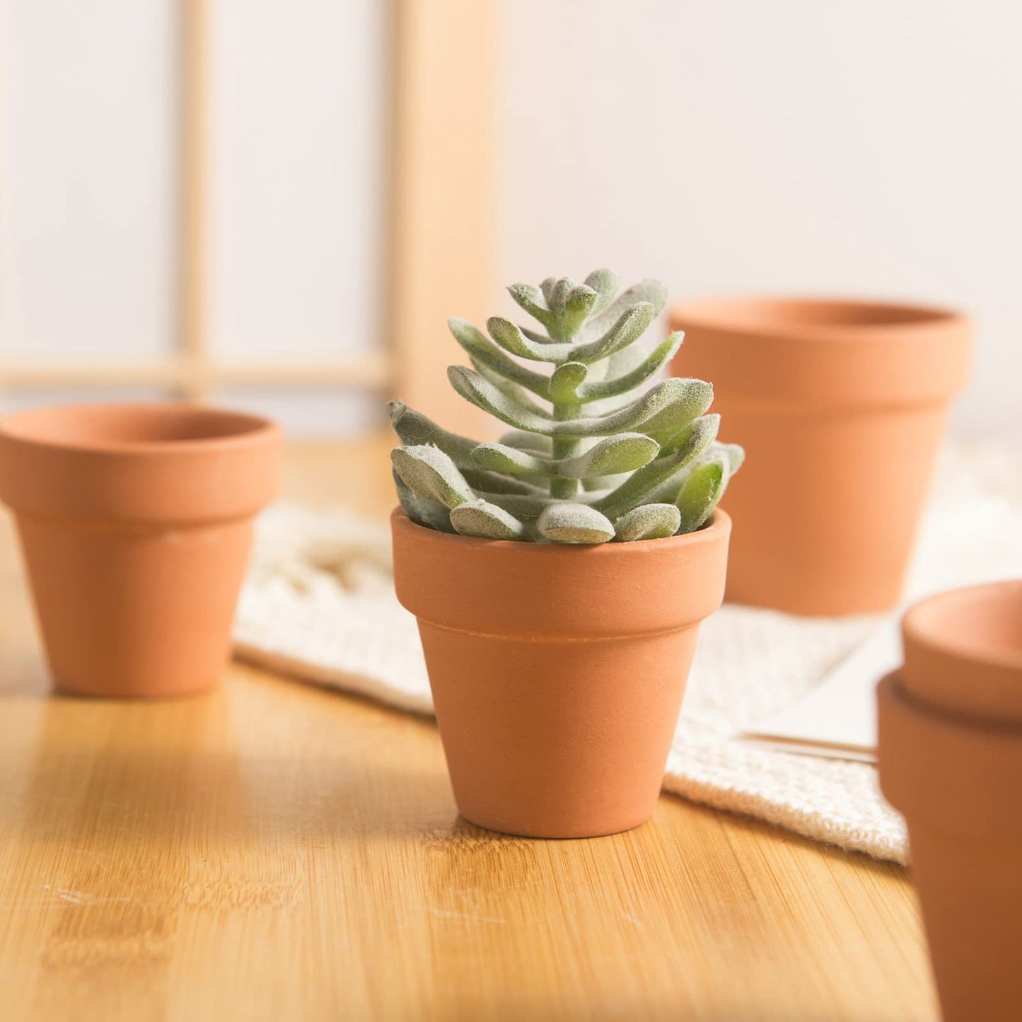 36 Pieces of Small Mini 2 inch Clay Flower pots, Cactus Succulent Nursery pots with Drainage Holes, Suitable for Indoor/Outdoor Succulent Plants, Crafts, Wedding Favor