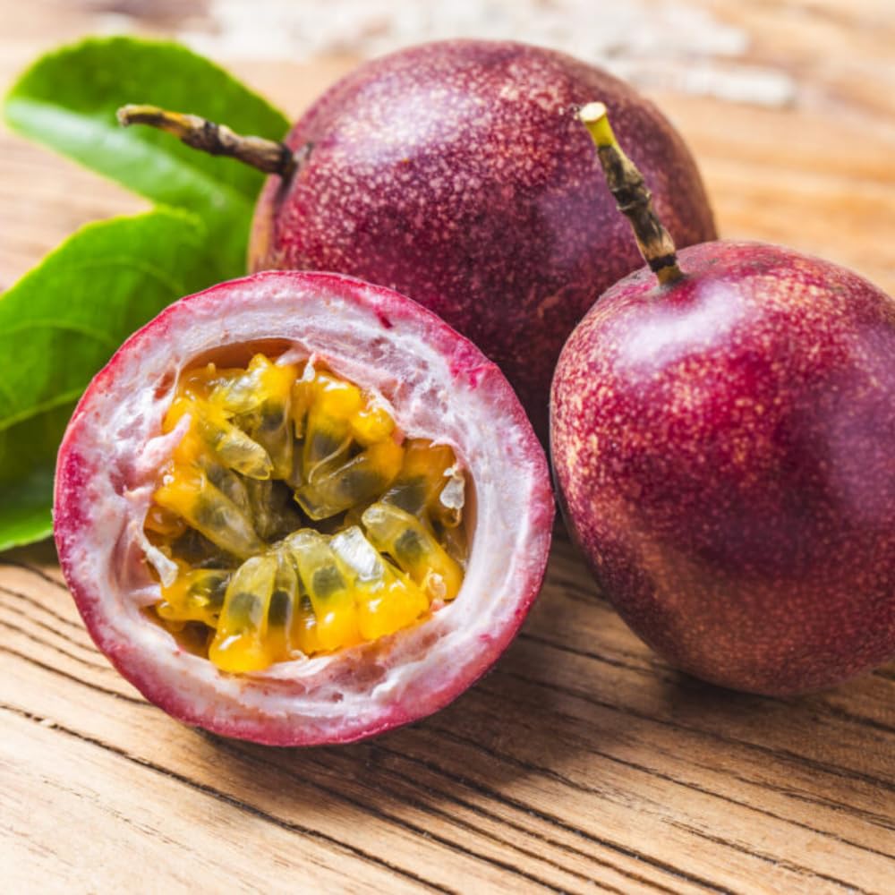 Passion Fruit Plant Live 4-7 Inch, Passionfruit Vine for Outdoor Garden, Tropical Climbing Vine for Trellis, Fence or Backyard Growing (Purple Passionfruit)