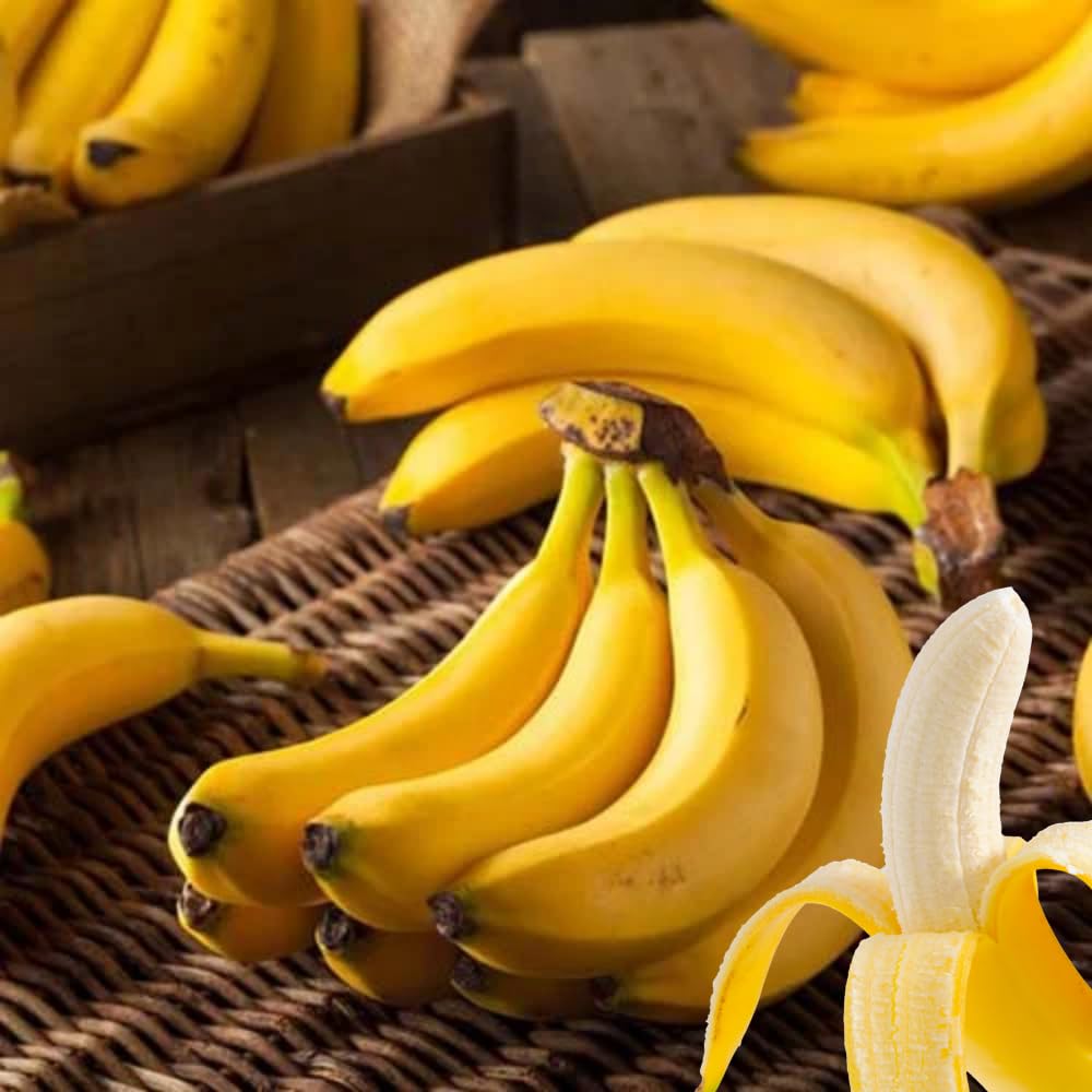 Banana Plant Live, Cold Hardy Tropical Banana, 4-6'' Tall, Starter Plant for Indoor and Outdoor (Dwarf Cavendish Banana)