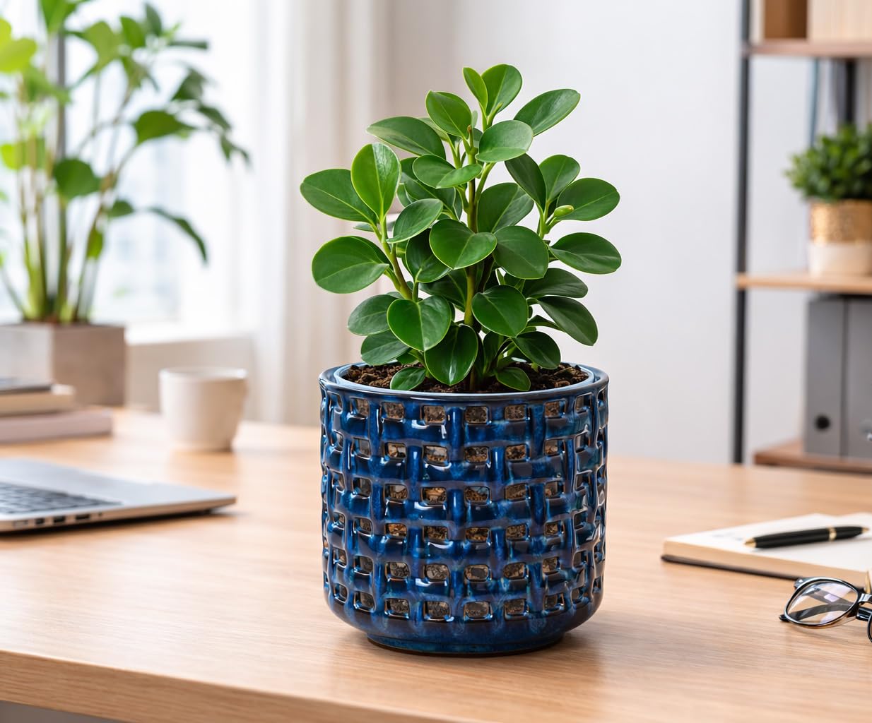 D'vine Dev 6.7 Inch Ceramic Orchid Planter with Lattice Cutout Design, Glazed Cachepot with Clear Nursery Pot & Detachable Saucer for Orchids and Indoor Plants, Midnight Blue, 28-A-Y-2