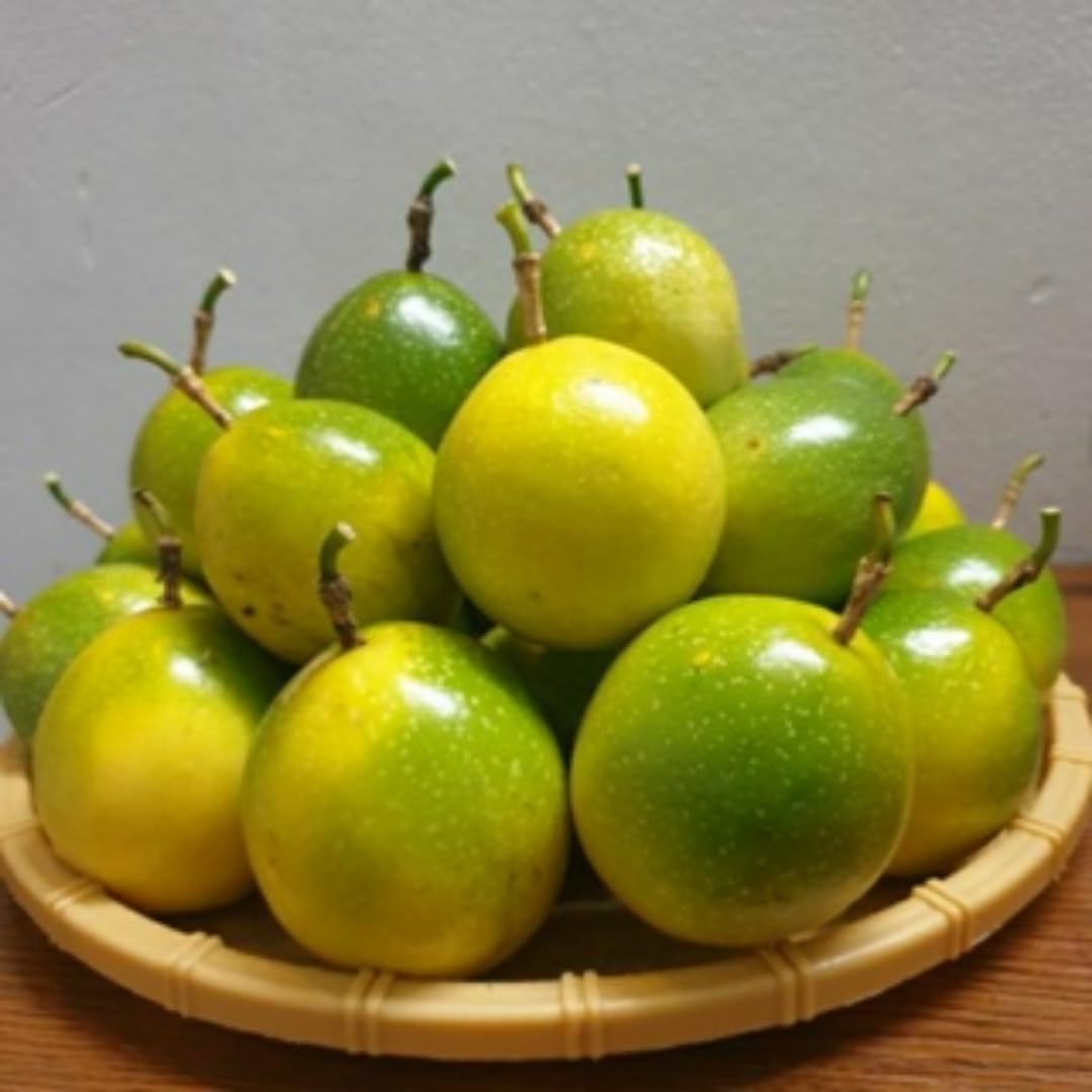 Yellow Passion Fruit Plants Live, Live Passion Fruit Vine Plants, 4 to 6 Inches Tall, Passion Plant