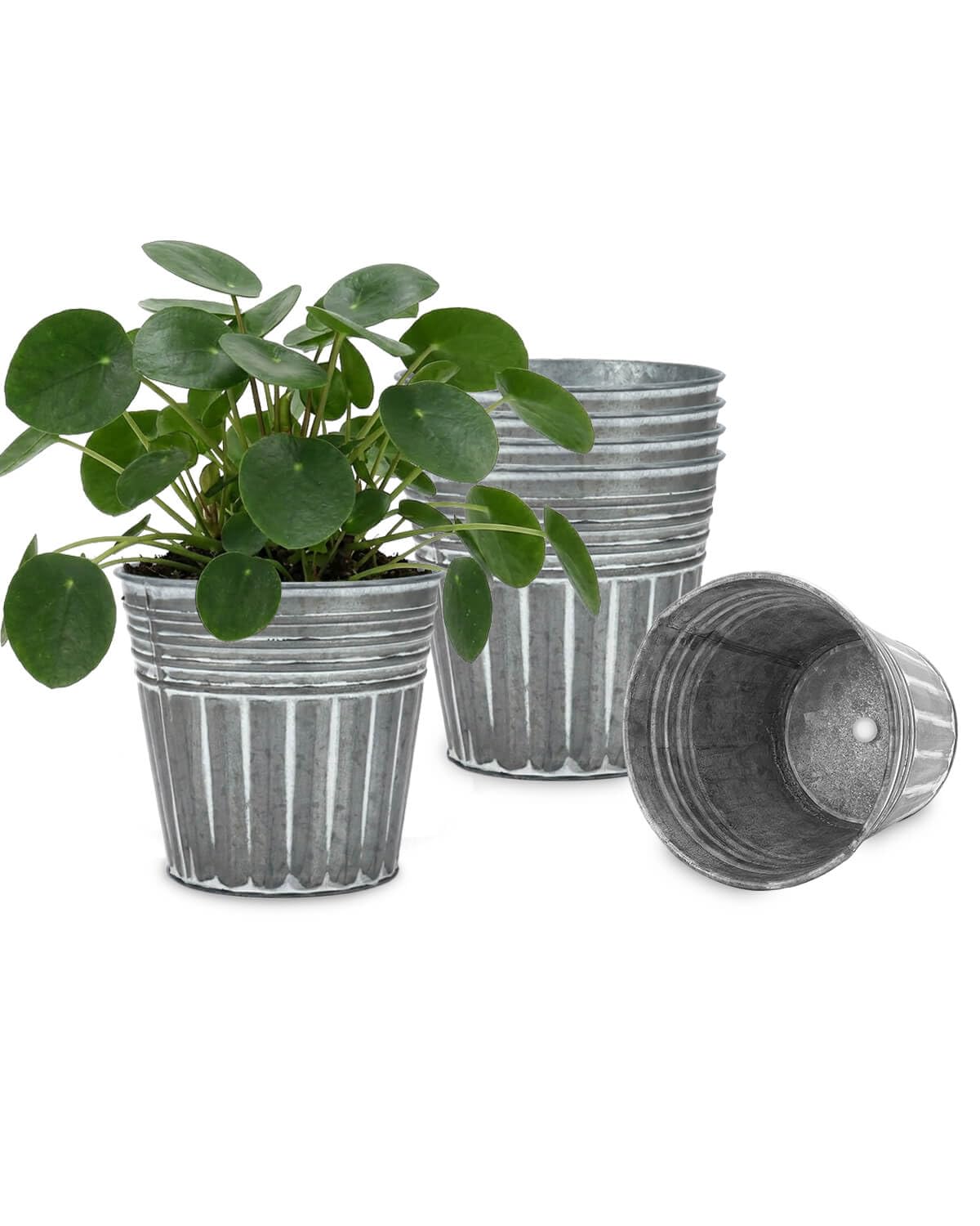 vensovo 5 Inch Galvanized Bucket Planter - 6 Pack Metal Flower Pots with Drainage Holes & Plugs, Rustic Silver Tin Pots for Indoor Herbs, Outdoor Succulents, Farmhouse Home Garden Decor