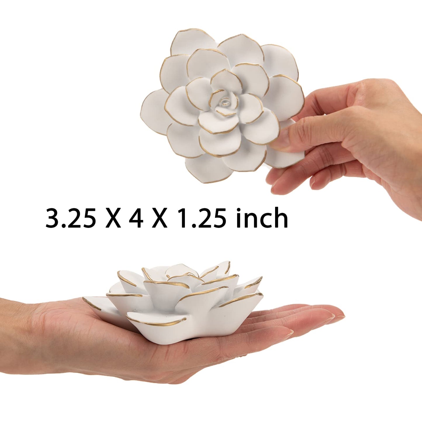 Guichifun Flower Wall Decor 3D Resin Succulent plants - Wall Hanging Decor Art Decor for Home Bedroom Living Room White Christmas Gift 3.25 X 4 X 1.25 Inch