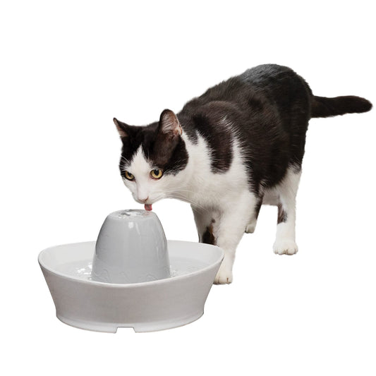 PetSafe Ceramic Pet Fountain – for Cats and Small Dogs – 60 Oz Water Capacity – Whisper-Quiet Water Flow – Great for Shy or Timid Pets – Fresh, Filtered Water