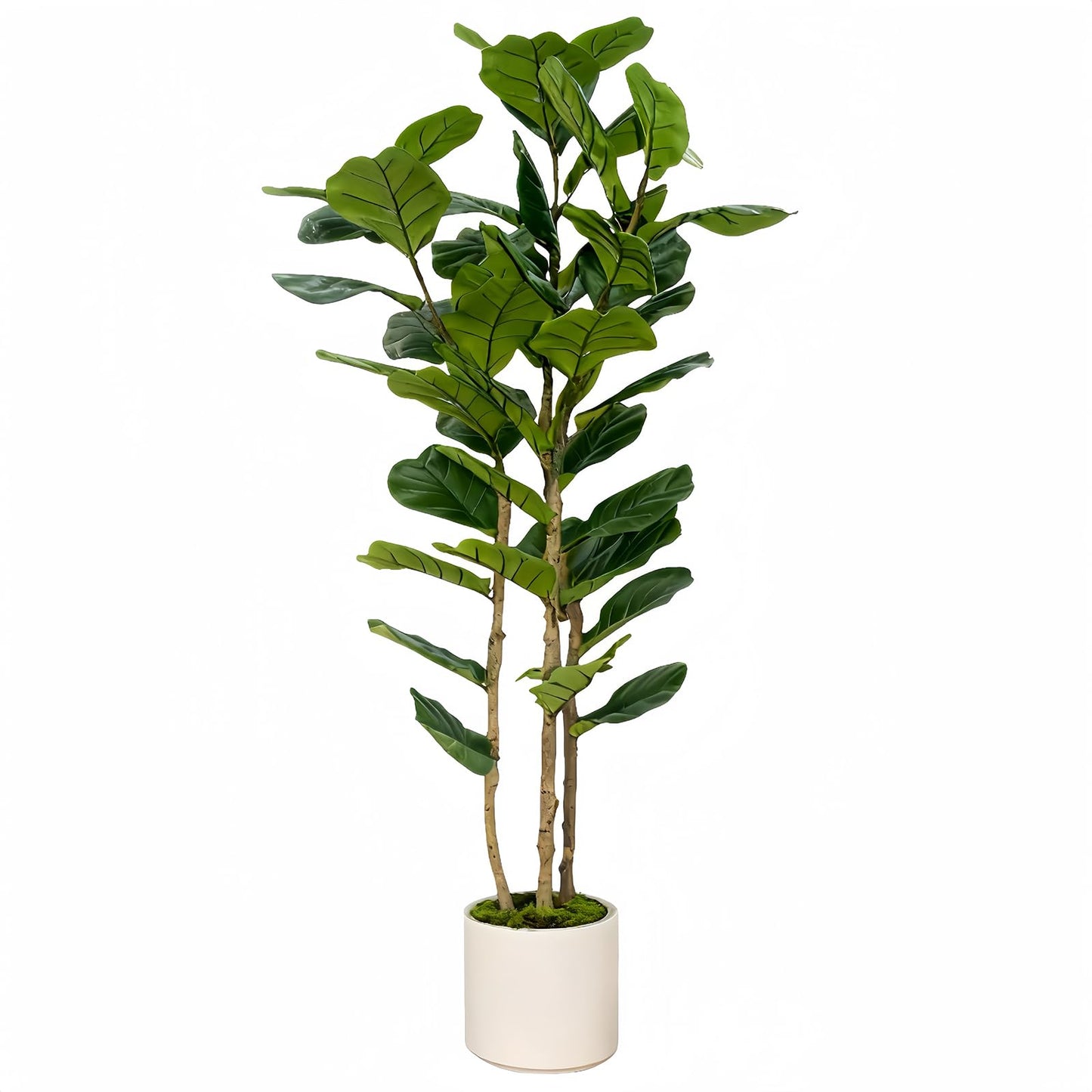 Artificial Fiddle Leaf Fig Tree 6FT with White Tall Planter-Large Faux Tree Tall Fake Floor Plant in Pot,Artificial Plants Indoor for Home Office Living Room Décor(Lyrata 6FT)