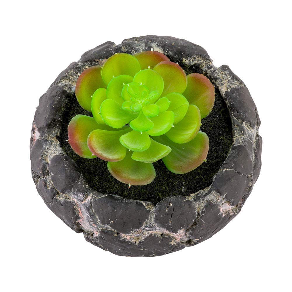Restaurantware-6 x 4.5 Inch Faux Succulent, 1 Artificial Succulent - In Cement Planter, Use As Table Or Shelf Decor, Centerpiece, Plastic Desk Plant, Planter Mimics The Look Of Volcanic Rocks