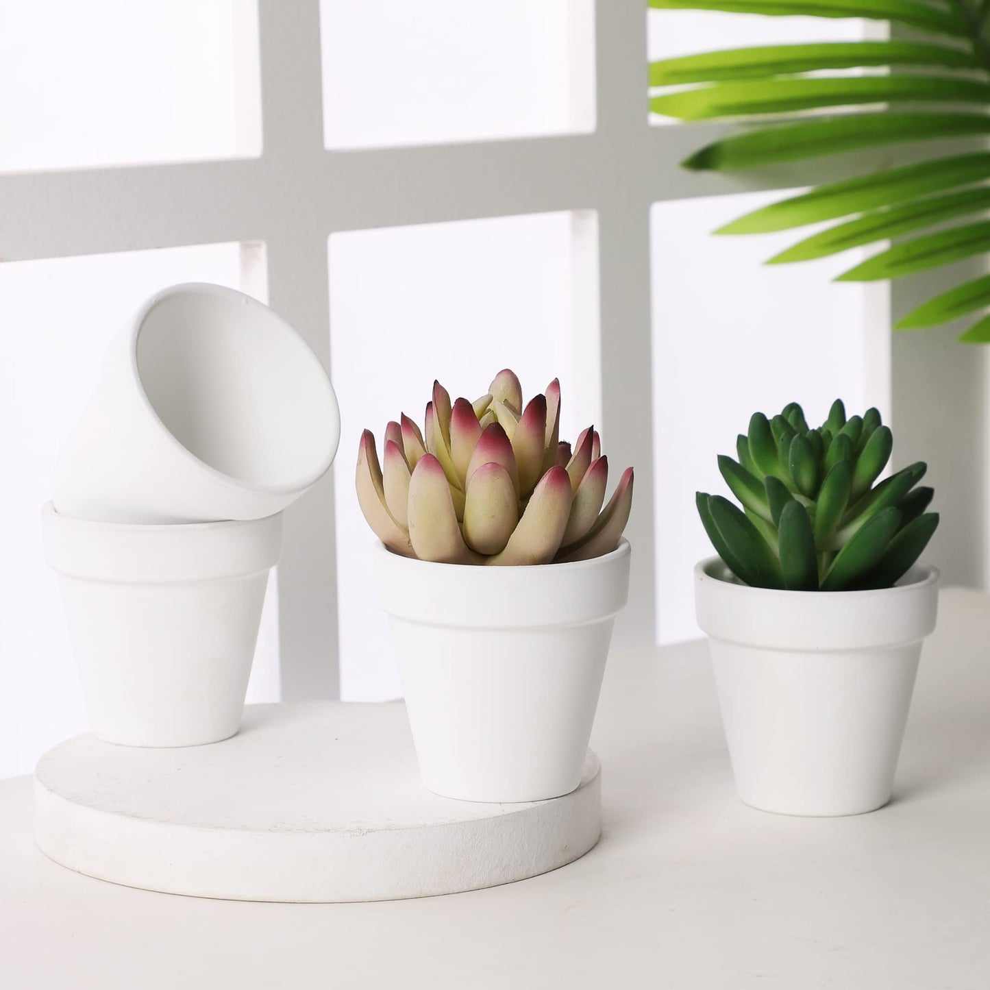Yishang 2.5 inch White Terracotta Pots with Drainage Holes,Small Mini Clay Ceramic Pottery Planter,Cactus Flower Terra Cotta Pots,Succulents Nursery Pots for Indoor/Outdoor Plants,Crafts-12 Pack