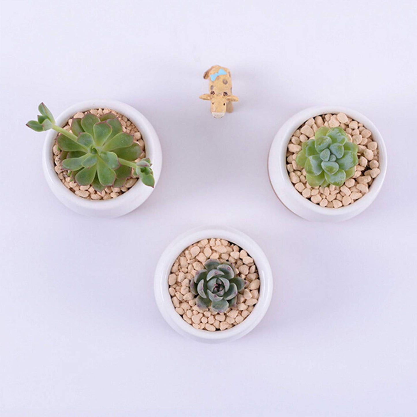 Brajttt Succluent Pots ，Small Flower Pots Planter Pots with Drinage,Ceramic Flowers Pots with Bamboo Tray for Cactus(12 Pack