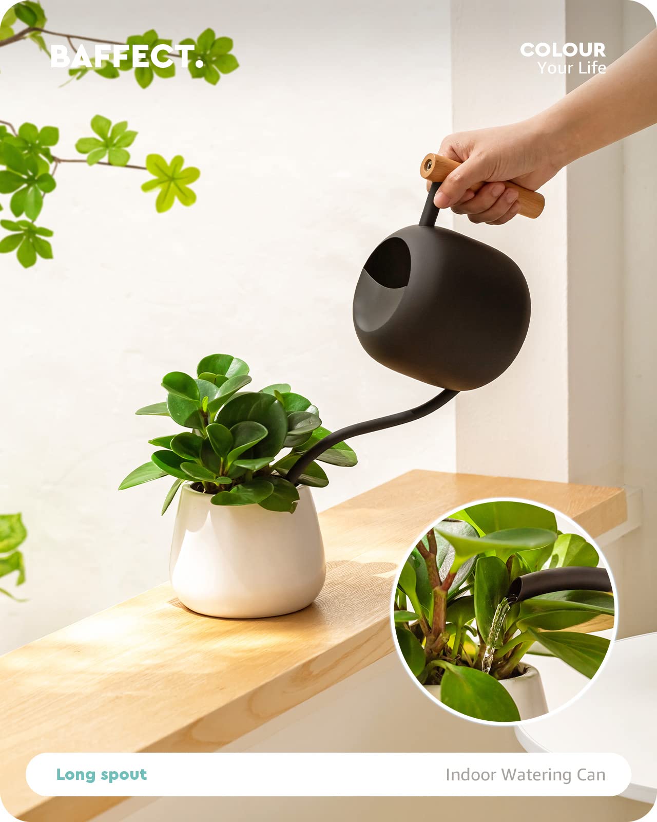 Baffect Cute Indoor/Outdoor Watering Can, 1.2L/41OZ Stainless Steel with Long Spout for House Plants, Bonsai, Flowers & Decor