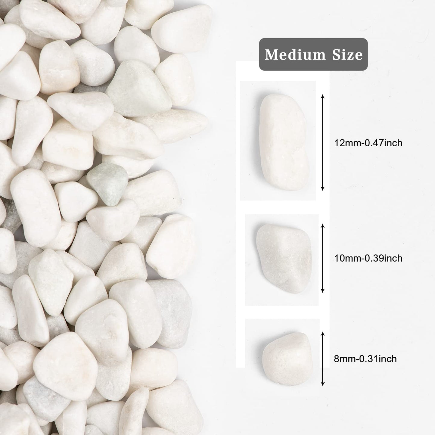 Ausluru 5lbs White Natural River Rocks, Polished Pebbles for Plants Garden, 0.3-0.8 inch Decorative White Stones, Ideal for Fish Tank, Vases, Crafting, Home Decor and Garden Landscaping Rocks,White